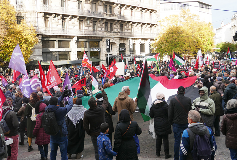 Grenoble. Nouvelle manifestation pour un cessez-le-feu à Gaza