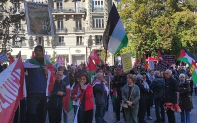 Grenoble. Un an après le 7 octobre, des manifestants déterminés pour imposer un cessez-le-feu au Moyen-Orient