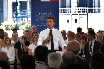 image article Les puces dauphinoises se font du mauvais sang