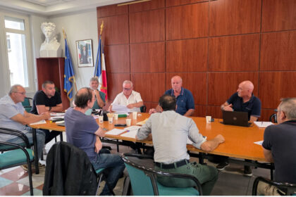 image article Roussillon. Le conseil régional adopte un vœu de soutien à la fabrication du paracétamol